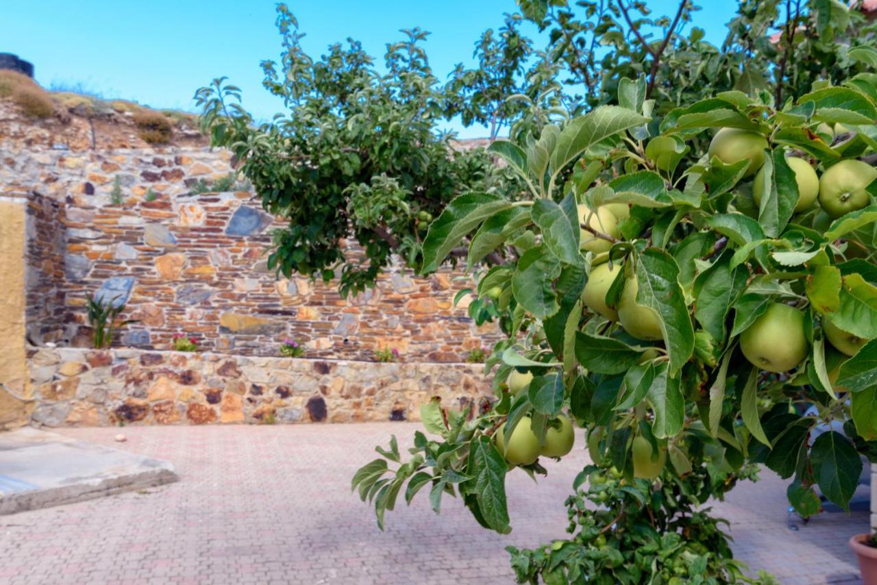 Teménia Best View Mountain Villa מראה חיצוני תמונה